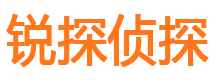 河源外遇调查取证